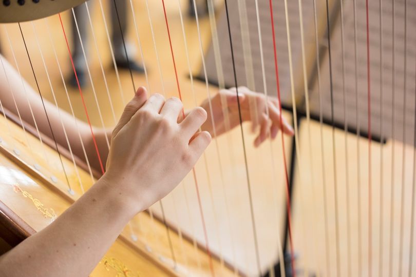 Lauren Twombly - Harpist, LLC