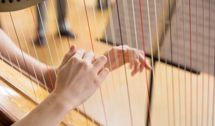 Lauren Twombly - Harpist, LLC
