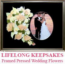 Everlastings Pressed Flowers