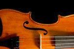 Violinist:  weddingsoloist.com