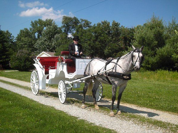 Serenity Farms Carriages