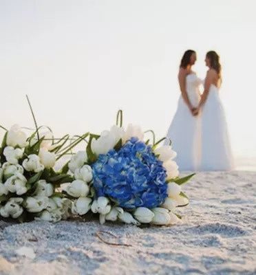 Marvelous Ceremonies