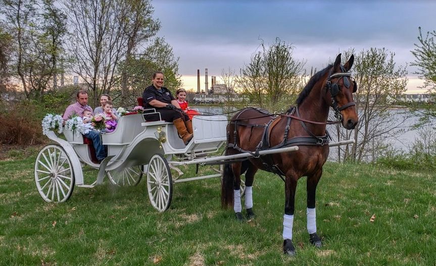 Tanglao Carriage Driving