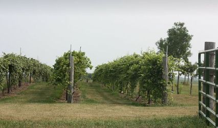 99 Bottles Winery & Vineyard