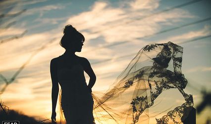 Crystal Stokes Photography