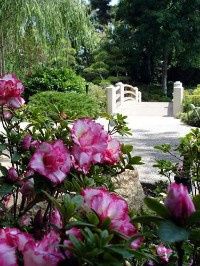 Earl Burns Miller Japanese Garden Venue Long Beach Ca Weddingwire