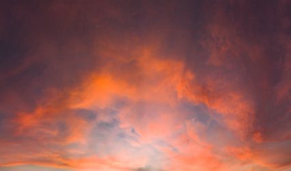 Flourish and Shutter Photography