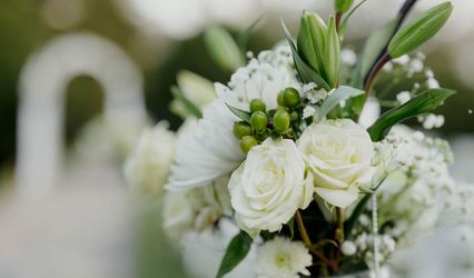 Virgo Event Planning
