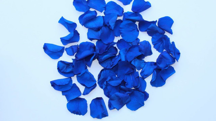 Real Petal Confetti Cannons