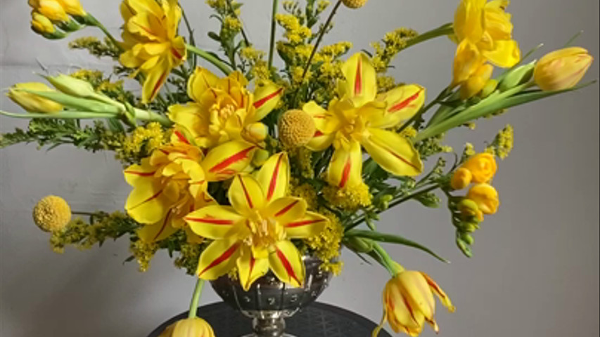 Yellow Spring arrangement 