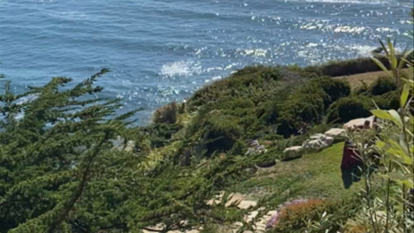 Big Sur Wedding
