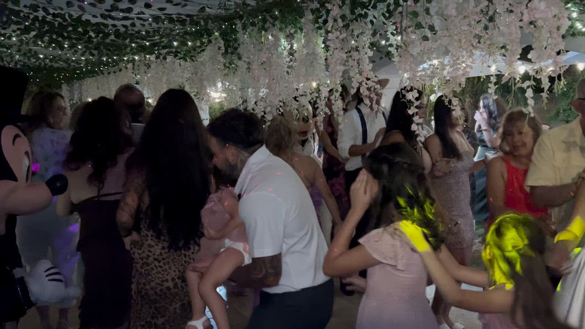 Avina Wedding