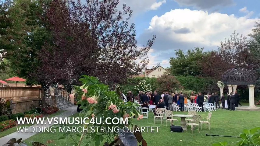 VSmusic4u String Quartet 