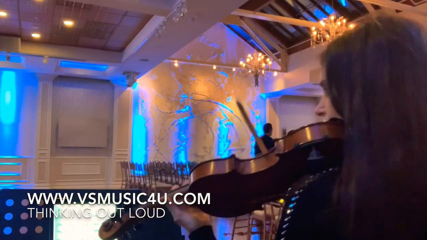 Vsmusic4u Wedding Violinist and Cellist Duo Fox Hollow
