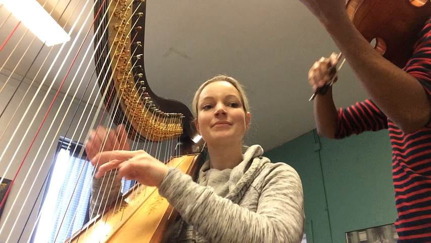 Harp & Violin Sample