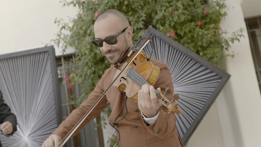 Violin