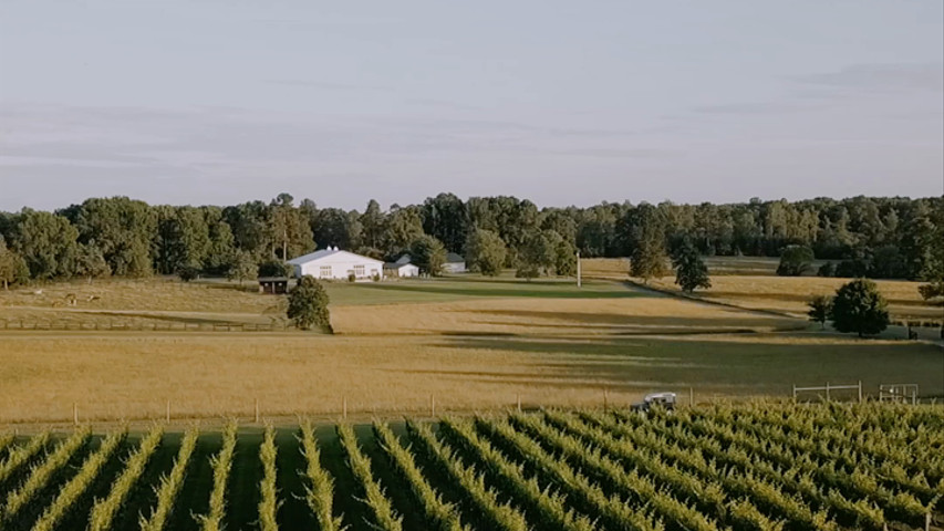THE SOUTH PADDOCK WINERY AT WHITEHALL FARM