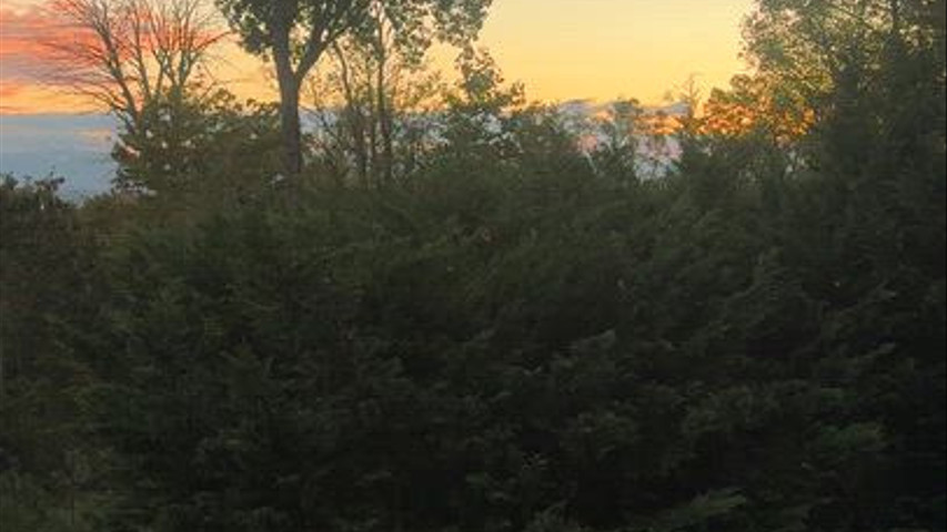Gorgeous sunset for Erica & Kevin