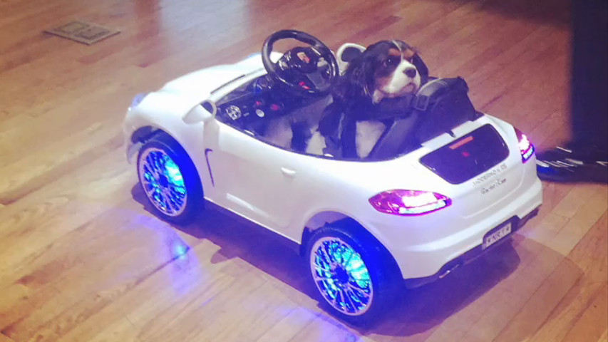 Best Reception Entrance Ever