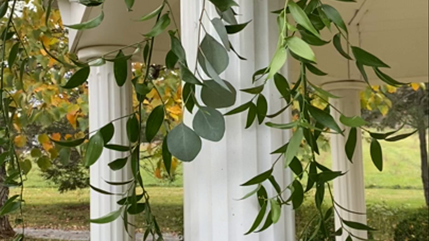 Arbor Florals