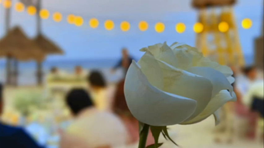 An Mazing full moon Wedding