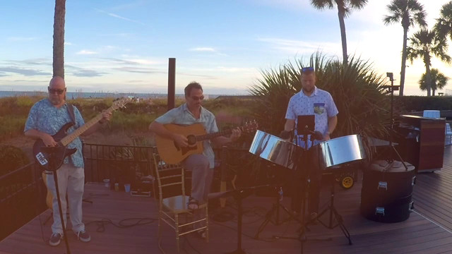 Steel Drum trio for beach vibes!