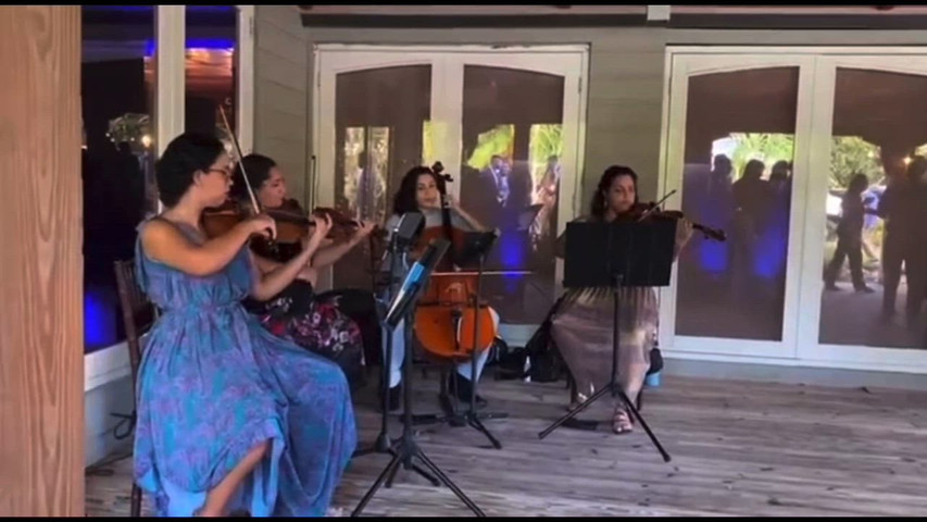 2 Violins, 1 viola, 1 cello