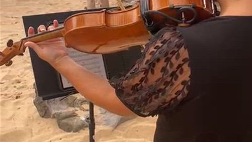 Viola or Violin Solo