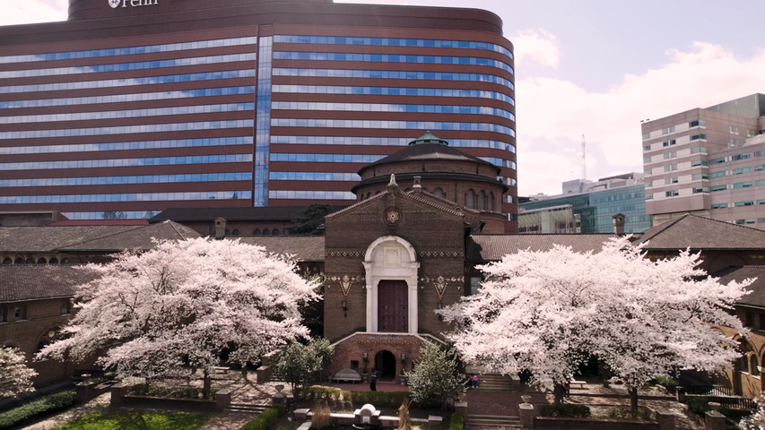 Penn Museum Wedding