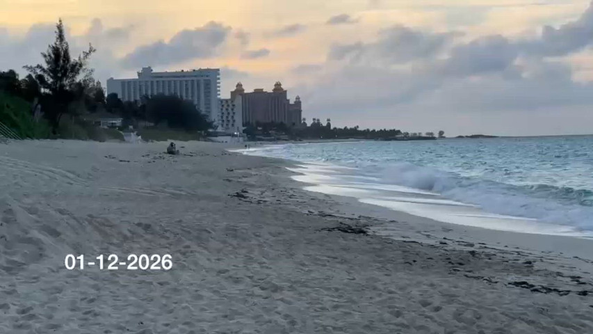 Cabbage Beach Weding