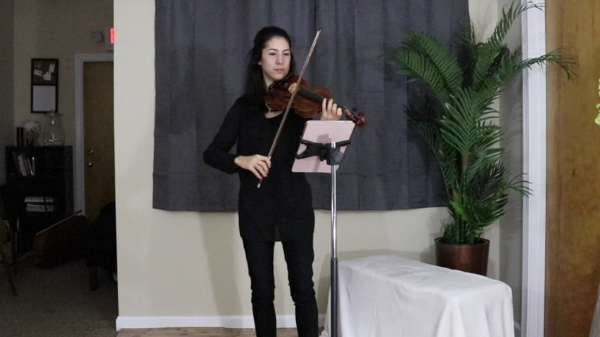Blackstone Valley String Quartet & Ensembles