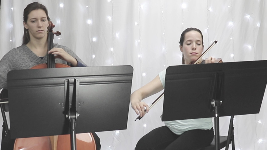 Blackstone Valley String Quartet & Ensembles