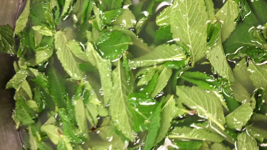 MInt