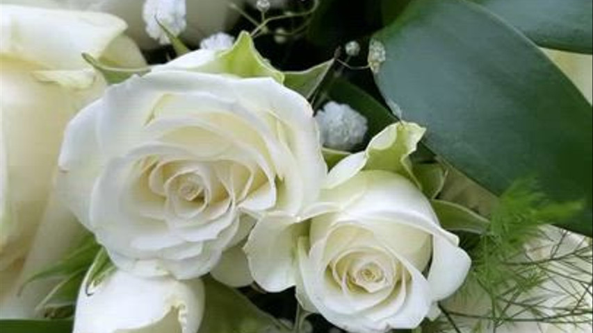 Cascading bride bouquet