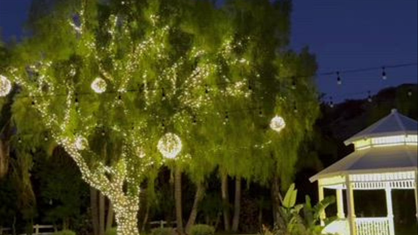 Our Newly Twinkle Lights Addition to our Banquet Patio
