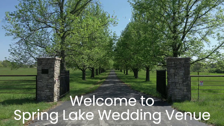 Tree Lined Drive at Spring Lake