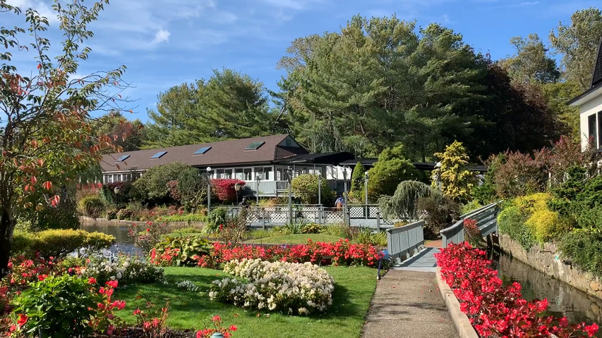 A windy Fall Day in our Waterfront Garden
