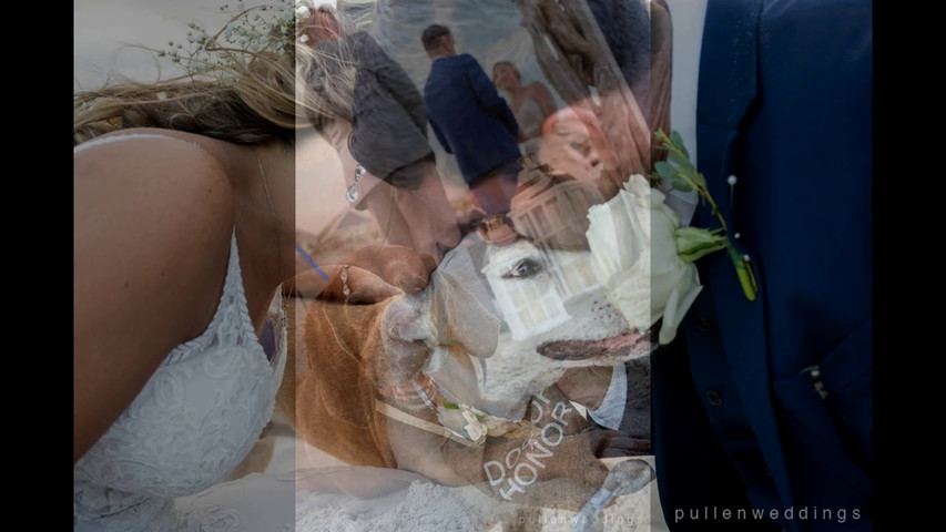Daniel Pullen Photography