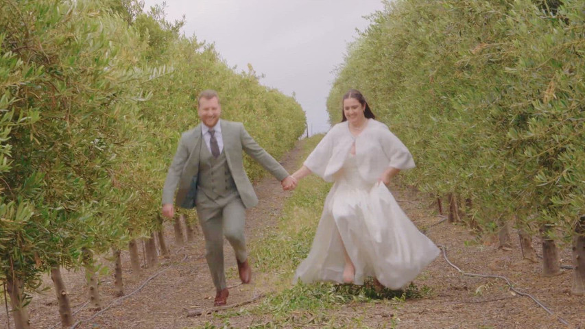 Wedding Highlight