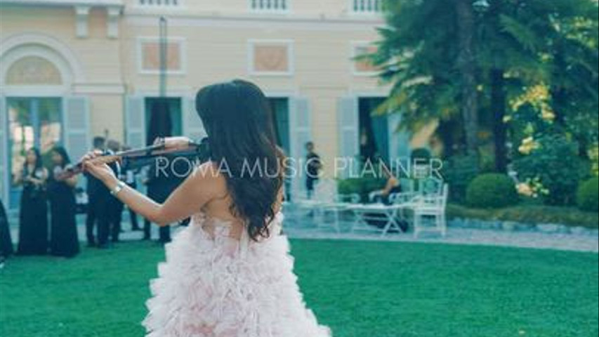 Violin