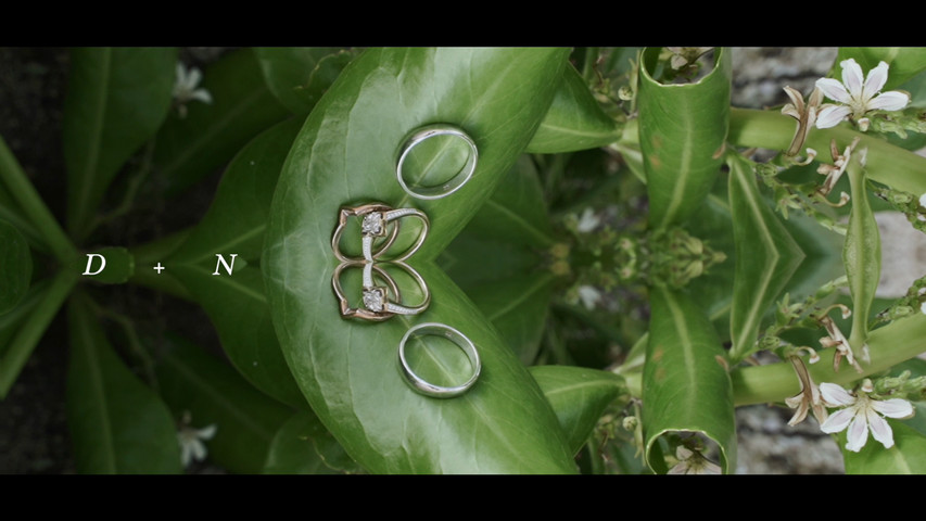 Sneak Peek D + N