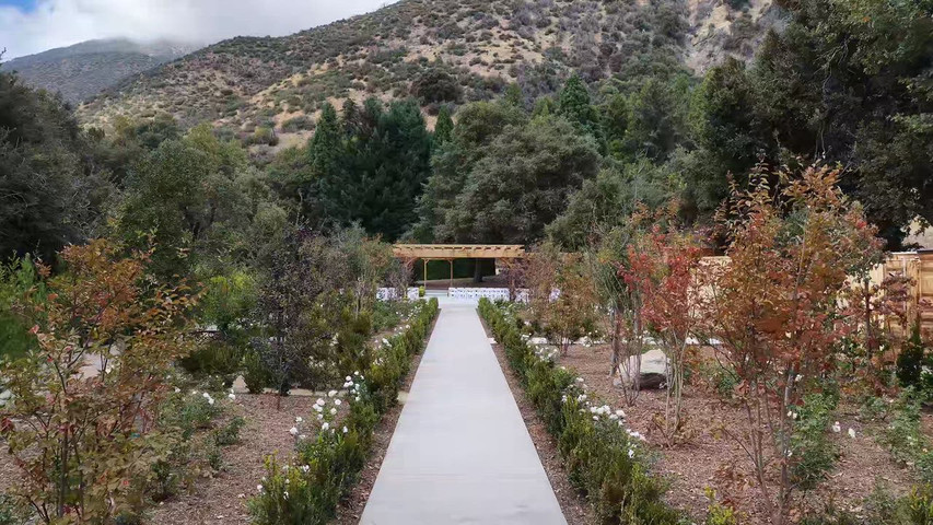 The Garden