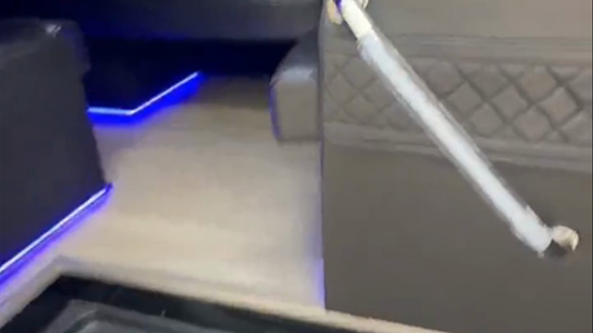 10 Passenger Mercedes Sprinter Party Bus