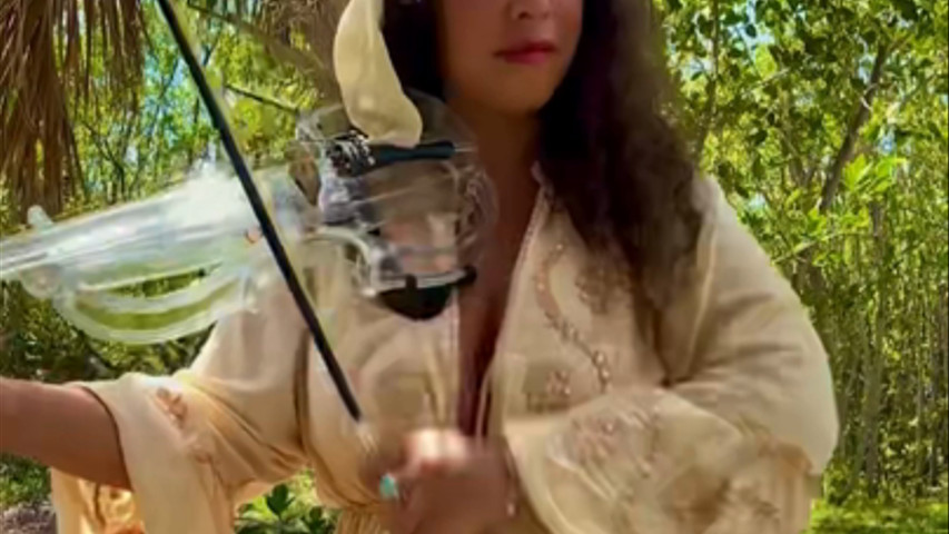 Pirates of the carribean