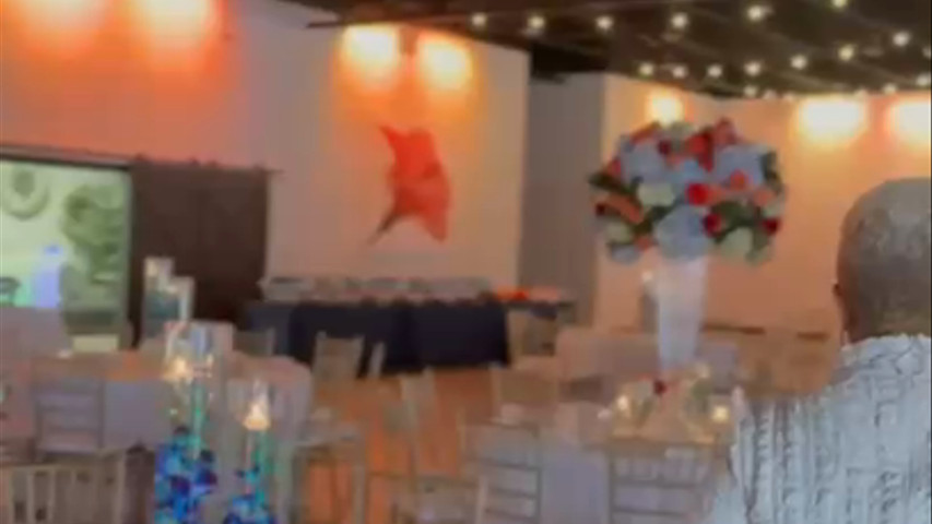 The Hibiscus Event Space