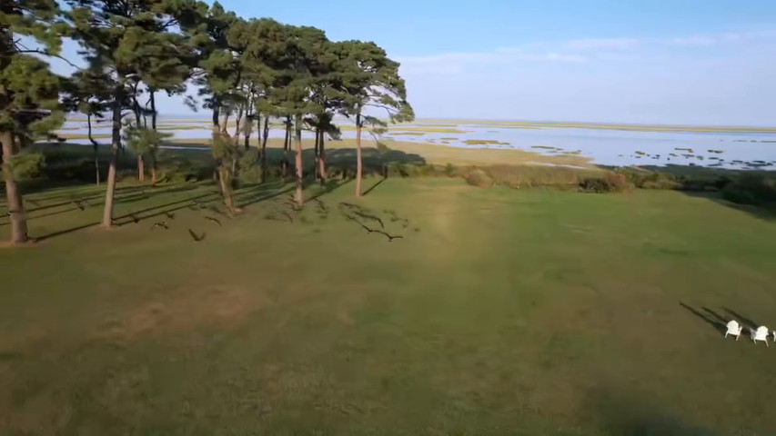 Cape Teal Farms 