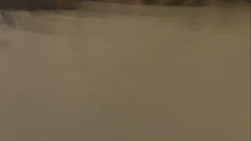 Conga Line 