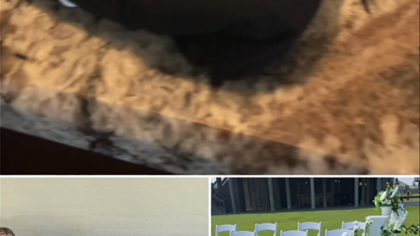 ʙeach Wedding at Crystal Beach in Galveston, Texas 