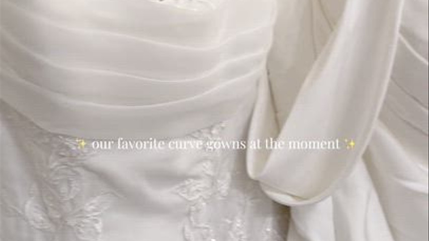 Our Favorite Curve Gowns