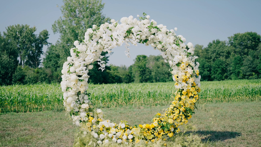 Picture Perfect Wedding